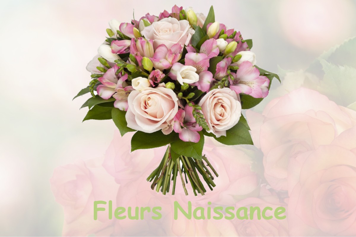 fleurs naissance L-ABERGEMENT-SAINTE-COLOMBE